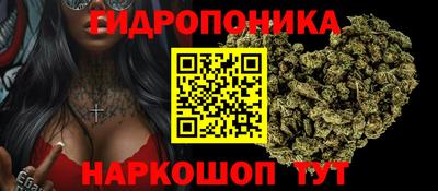 эйфоретик Пушкино