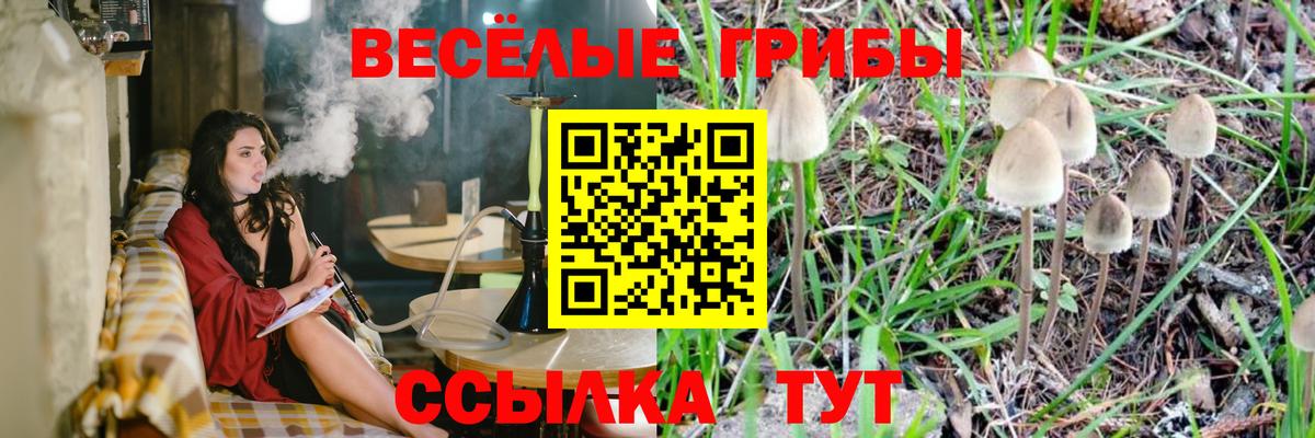 где продают   Галлюциногенные грибы MAGIC MUSHROOMS  Псилоцибиновые грибы Psilocybine cubensis  Вход с VPN  Волгоград 